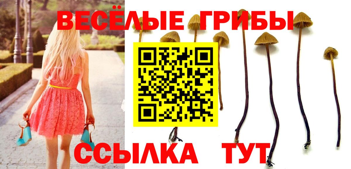 Галлюциногенные грибы ЛСД  Псилоцибиновые грибы Psilocybine cubensis  Вход с VPN  Кудымкар 